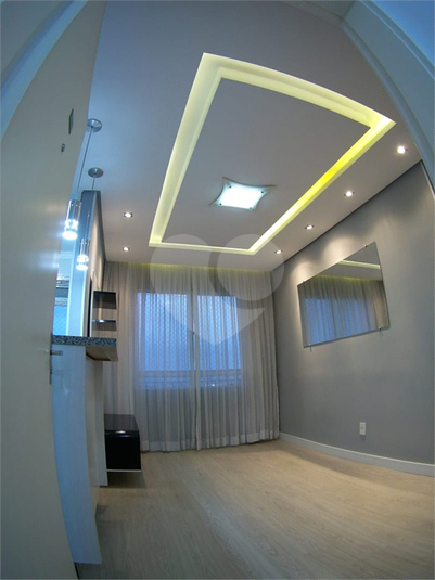 Foto REO1127851
