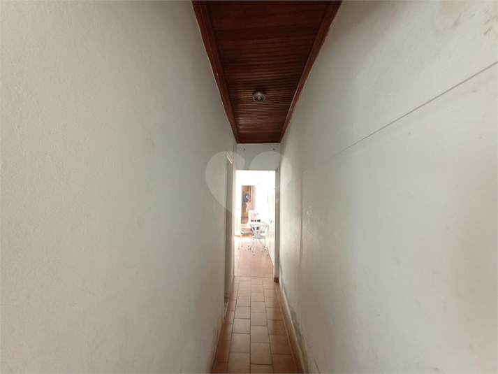 Foto REO1127855
