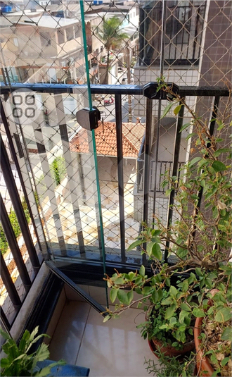 Foto REO1127868