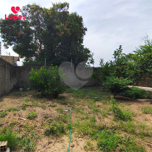 Foto REO1127872