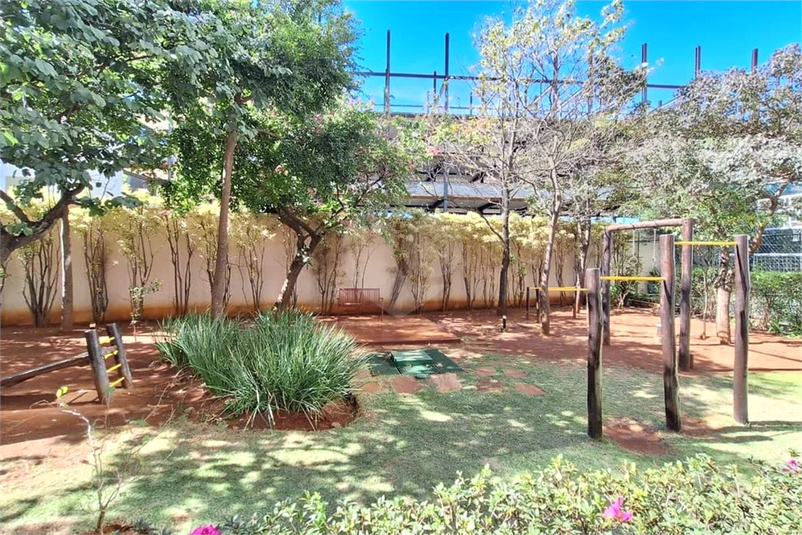 Foto REO1127874