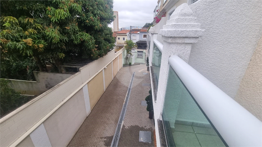 Foto REO1127877