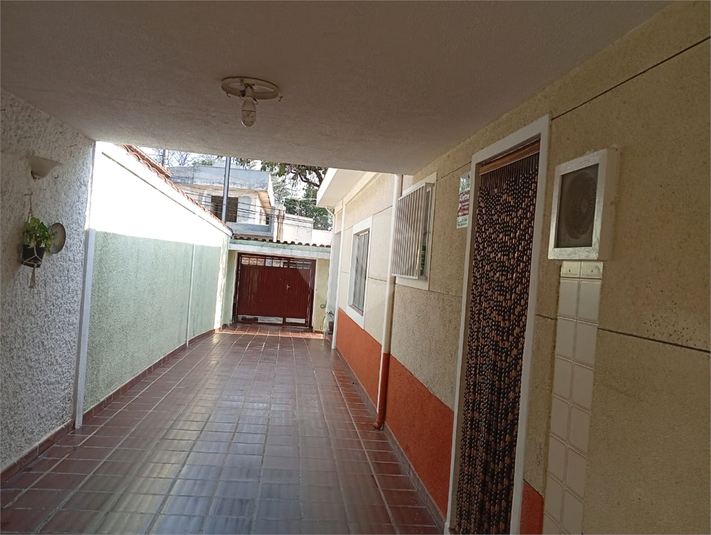 Foto REO1127883