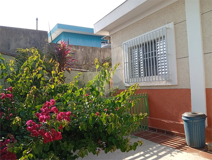 Foto REO1127883