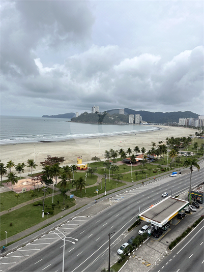 Foto REO1127886