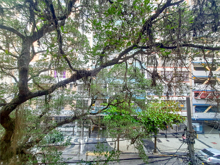 Foto REO1127922