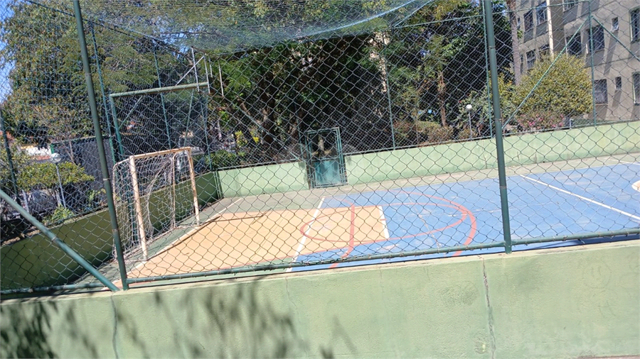 Foto REO1127923