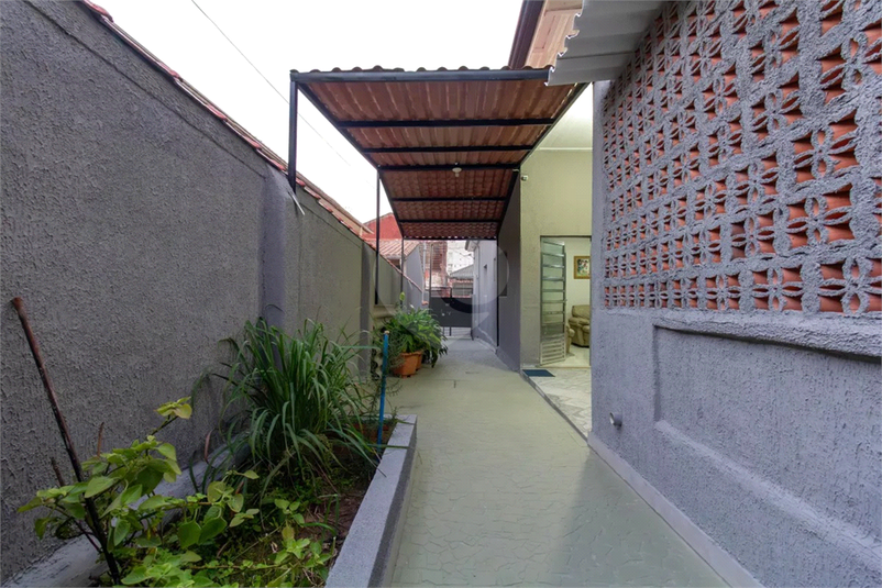 Foto REO1127939