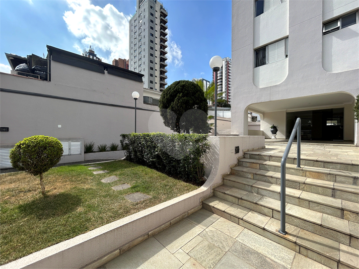 Foto REO1127945