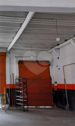 Foto REO1127950