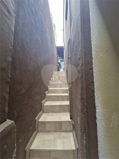 Foto REO1127953
