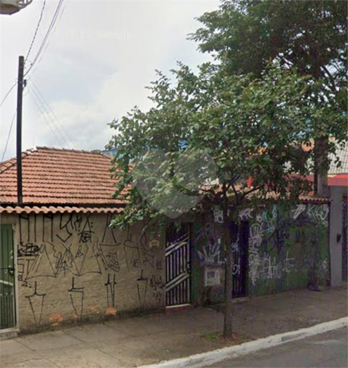 Foto REO1127953