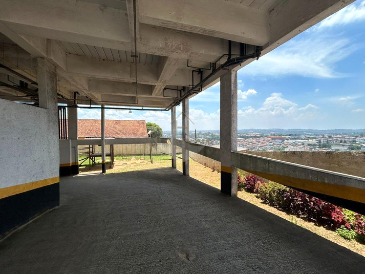 Foto REO1127964