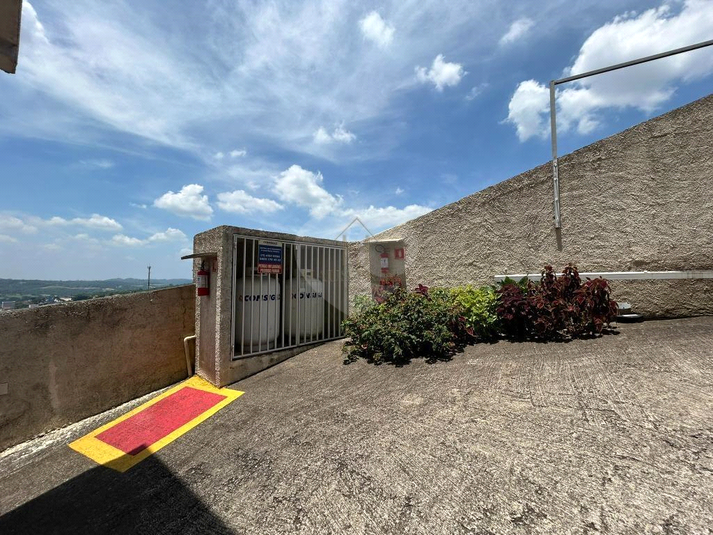 Foto REO1127964