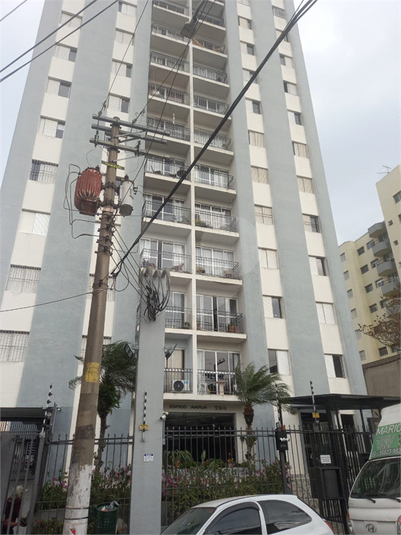 Foto REO1127972