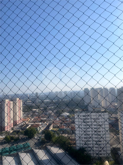 Foto REO1128002