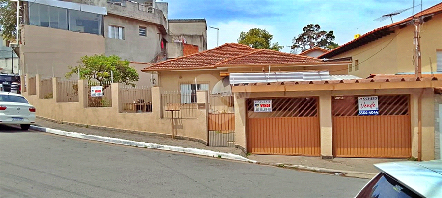 Foto REO1128054