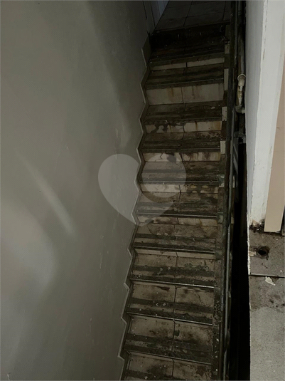 Foto REO1128056