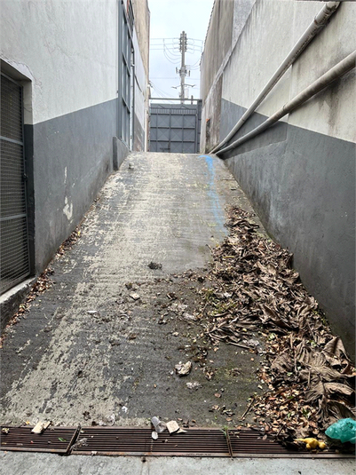 Foto REO1128056