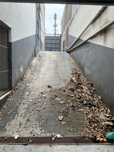 Foto REO1128056