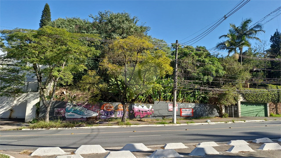 Foto REO1128062