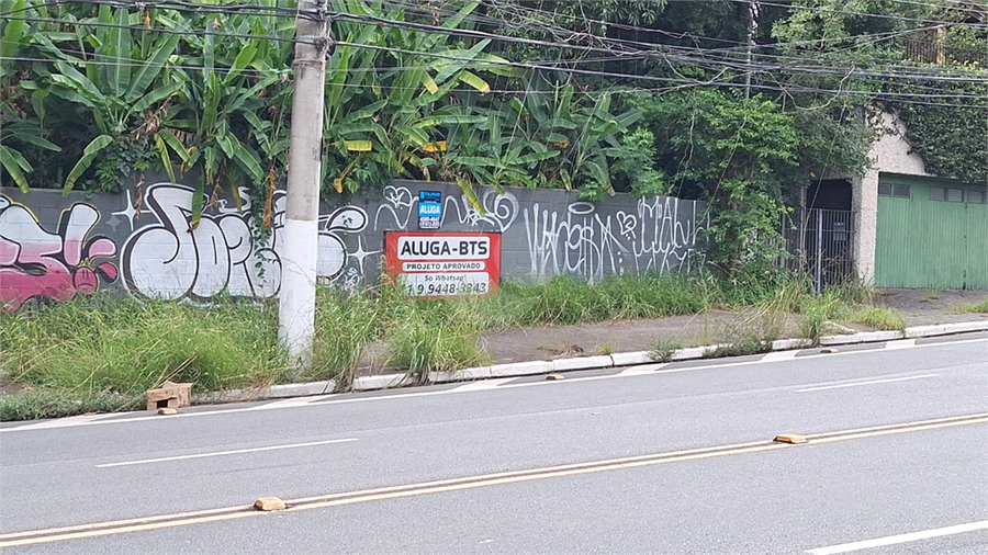 Foto REO1128062