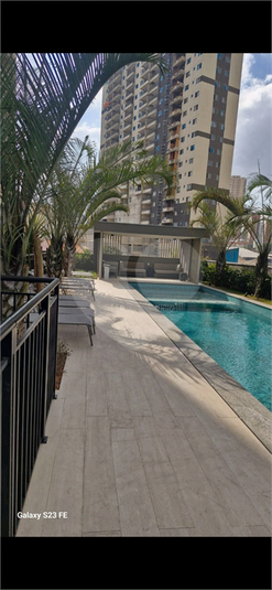 Foto REO1128088