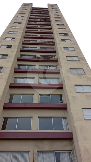 Foto REO1128159