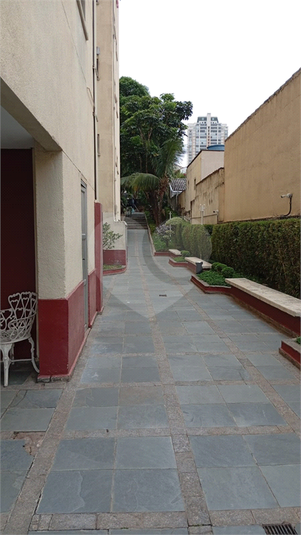Foto REO1128159