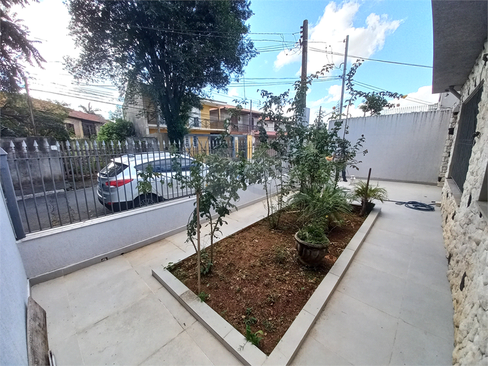 Foto REO1128161
