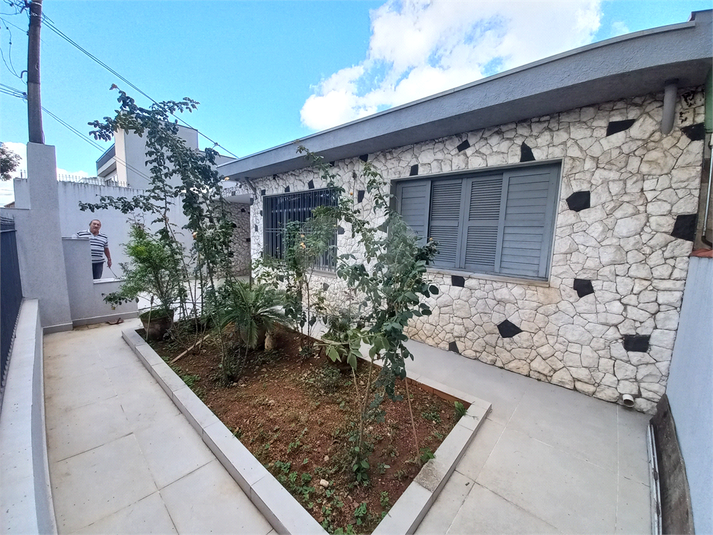Foto REO1128161