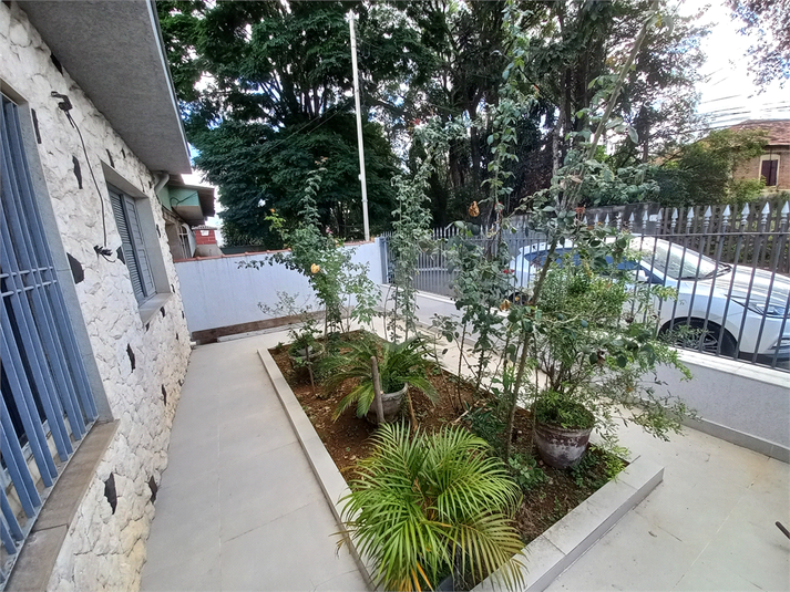 Foto REO1128161