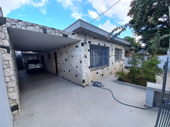 Foto REO1128161