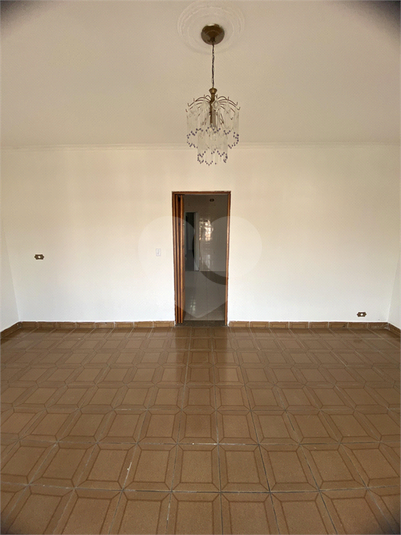Foto REO1128169