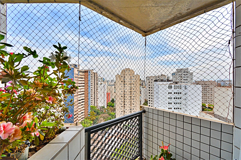Foto REO1128173