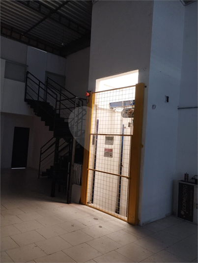 Foto REO1128195