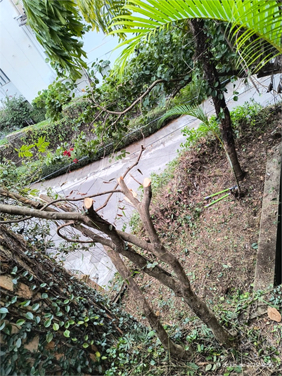 Foto REO1128257