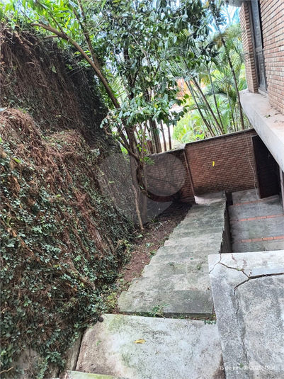 Foto REO1128257