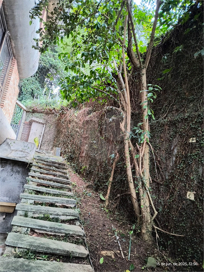 Foto REO1128257