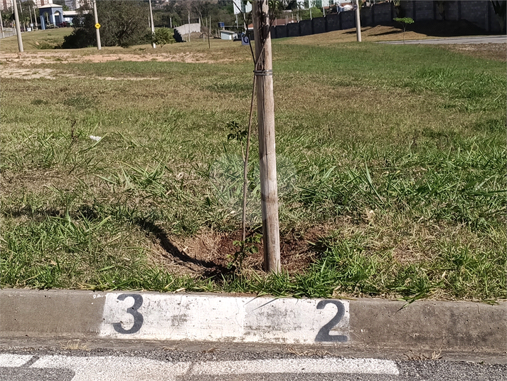 Foto REO1128258