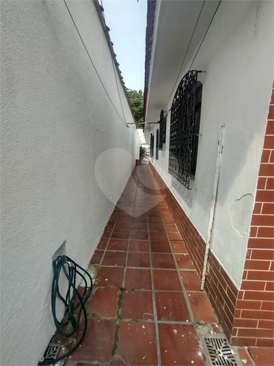 Foto REO1128267