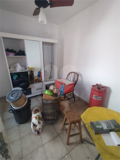 Foto REO1128267