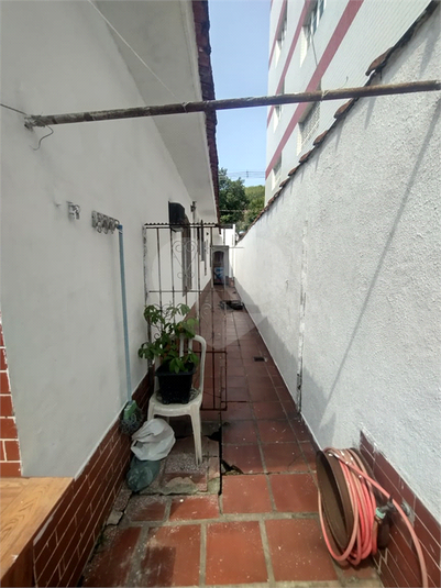 Foto REO1128267