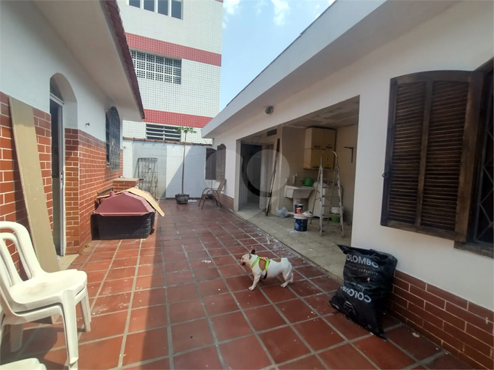 Foto REO1128267