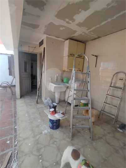 Foto REO1128267