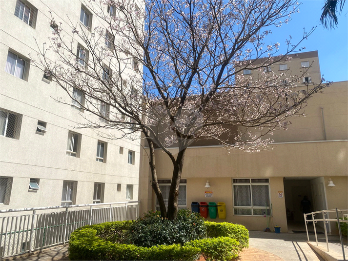 Foto REO1128287