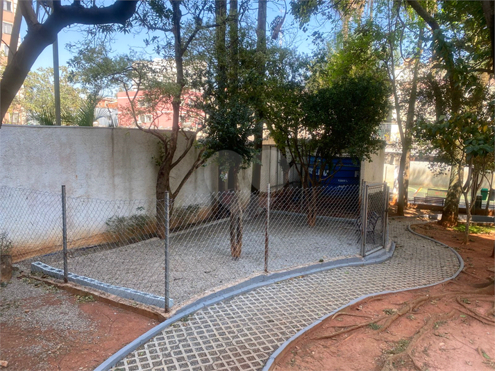 Foto REO1128287