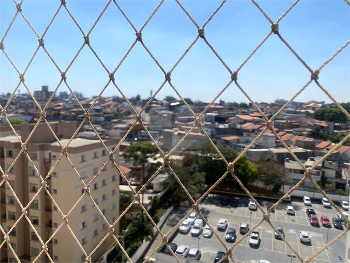 Foto REO1128287