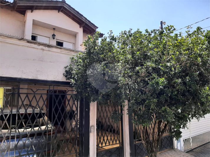 Foto REO1128310