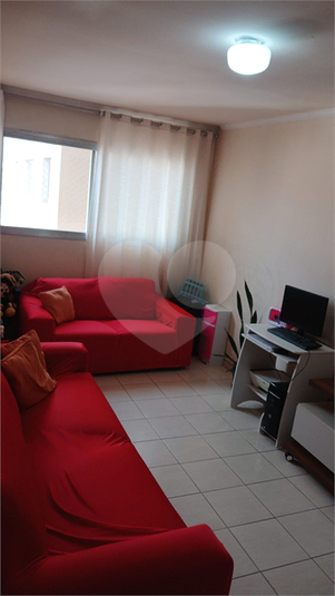 Foto REO1128315